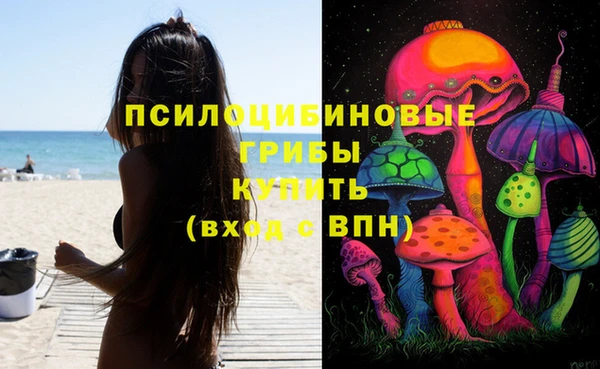 ПСИЛОЦИБИНОВЫЕ ГРИБЫ Каменногорск