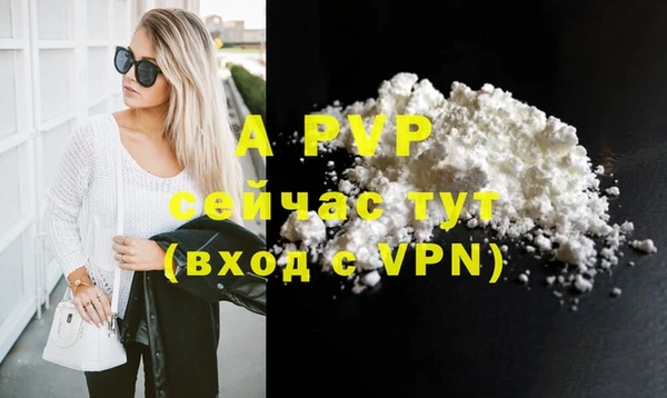 ПСИЛОЦИБИНОВЫЕ ГРИБЫ Каменногорск