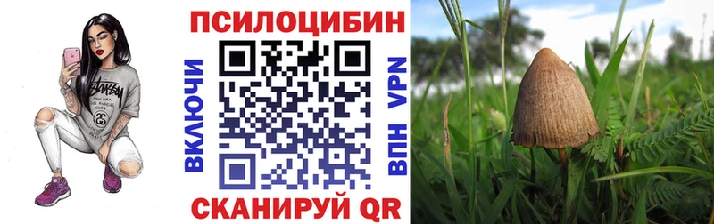 кракен ссылки  Билибино  Галлюциногенные грибы прущие грибы  что такое  
